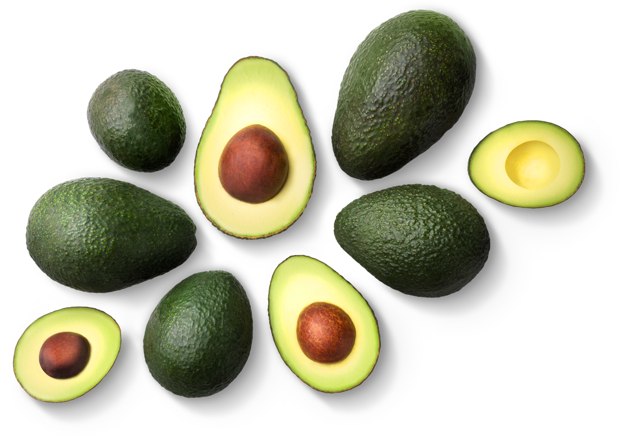 avocado-rode-img